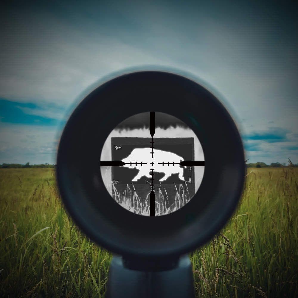 Allen EZ Aim Thermal ID Boar Paper Target 24"x12" Grey