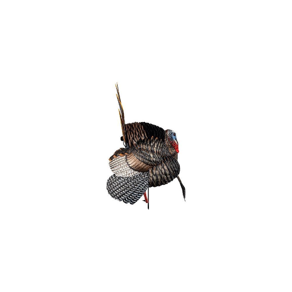Avian-X HDR Strutter