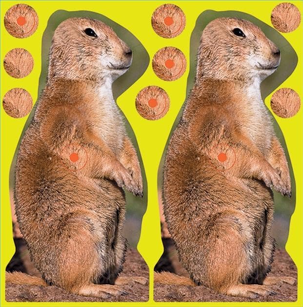 Birchwood Casey Shoot-N-C Prairie Chuck Target - 8" 12 /Pack