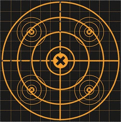 Birchwood Casey Big Burst Revealing Targets Sight-In 12" 3/ct