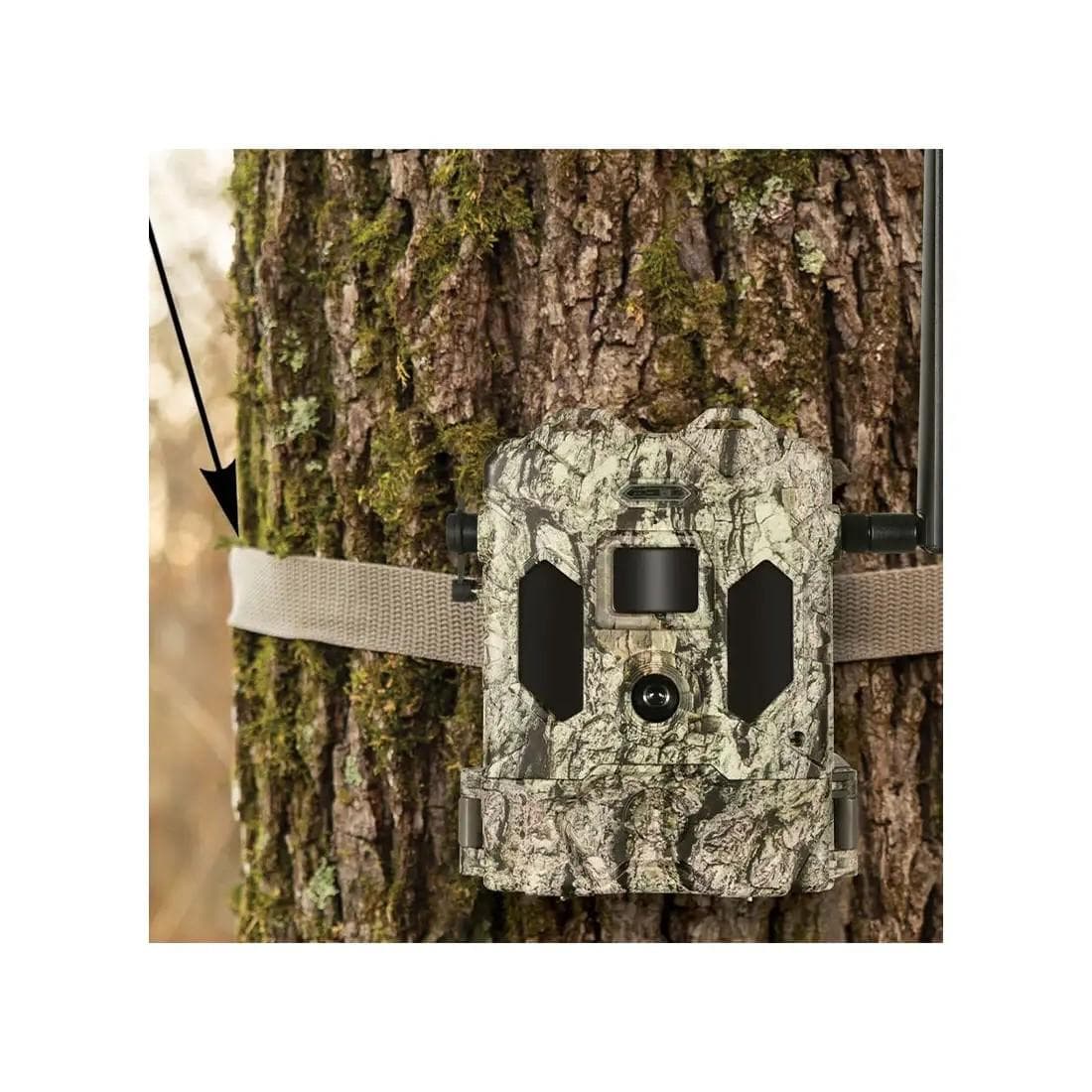 Bushnell Cellucore 24 Verizon Ready Cellular Trail Camera 24MP Camo