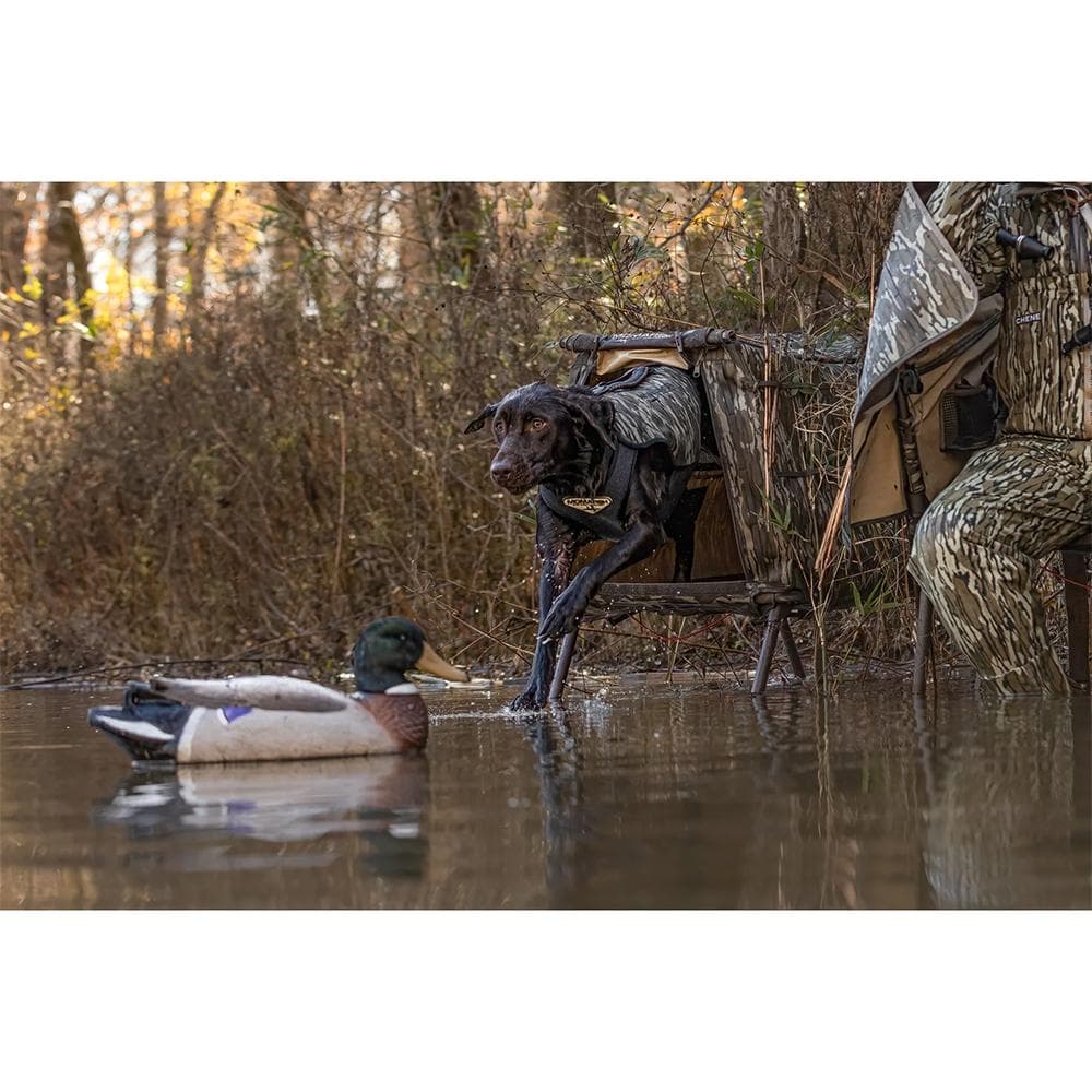 MoMarsh Invisilab Dog Blind Mossy Oak Original Shadow Grass