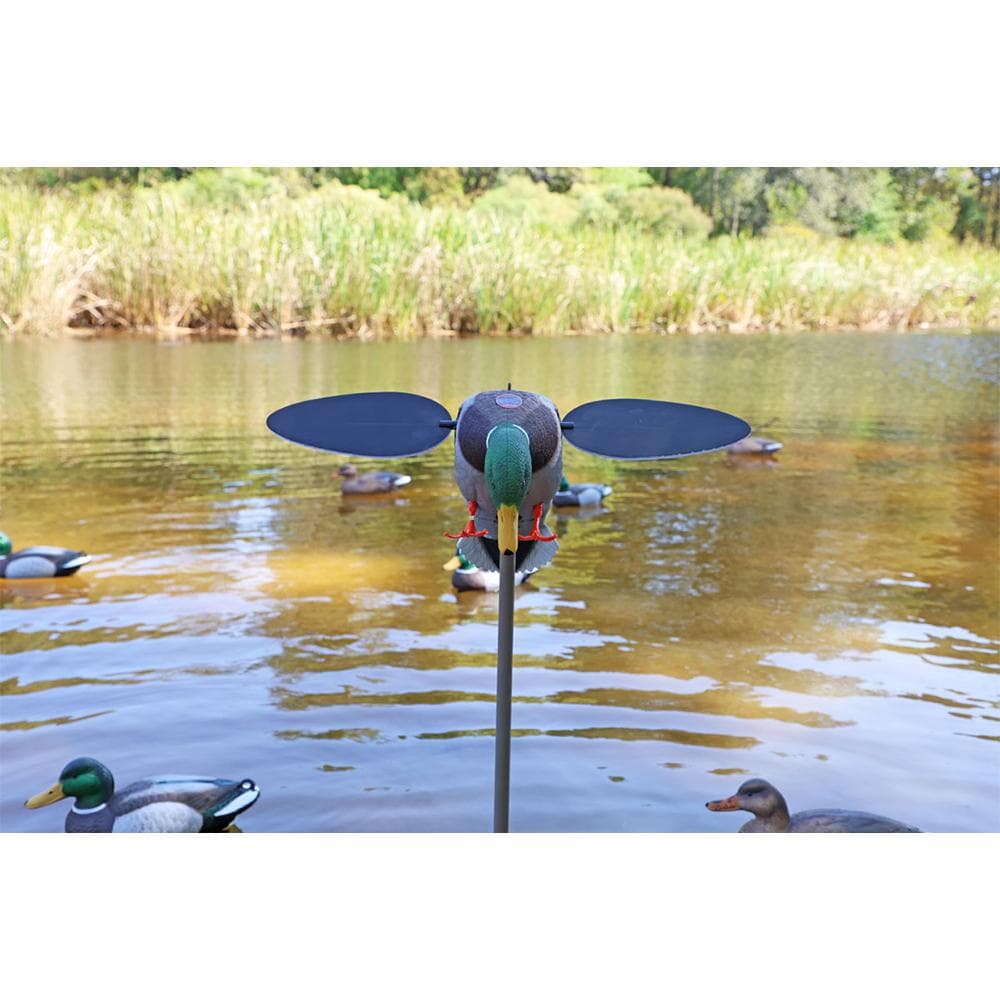 MOJO Silver Mallard 25th Anniversary Duck Decoy