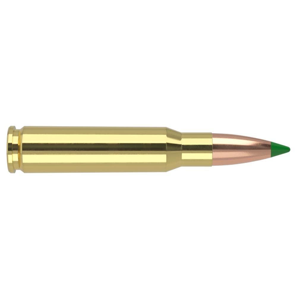 Nosler Ballistic Tip Hunting Rifle Ammunition 308 Win 165gr PT 2800 fps 20/ct