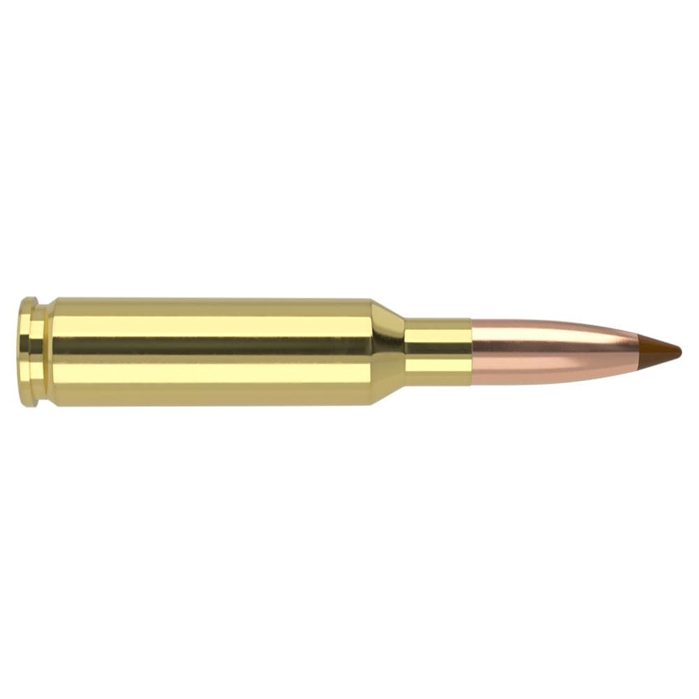 Nosler Ballistic Tip hunting Ammunition 6.5mm Creedmoor 140g PT 2650 fps 20/ct