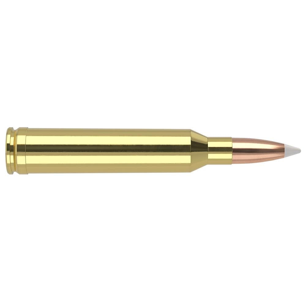 Nosler Accubond Trophy Grade Rifle Ammunition 7mm Rem Mag 140 gr PT 3125 fps 20/ct
