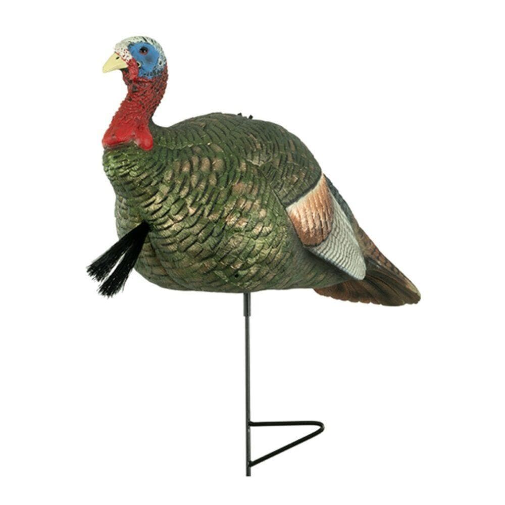 The Grind Half Strut Jake Turkey Decoy