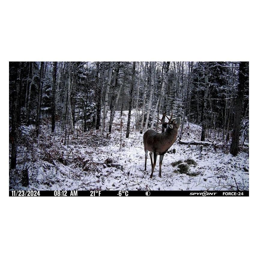 Spypoint FORCE-24 Non-Cellular Trail Camera