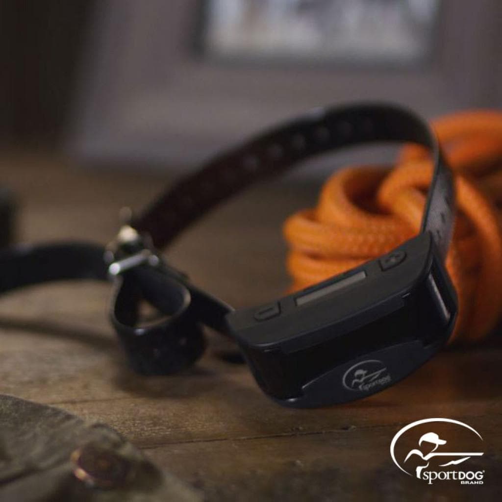 SportDOG Brand NoBark SBC-R Collar