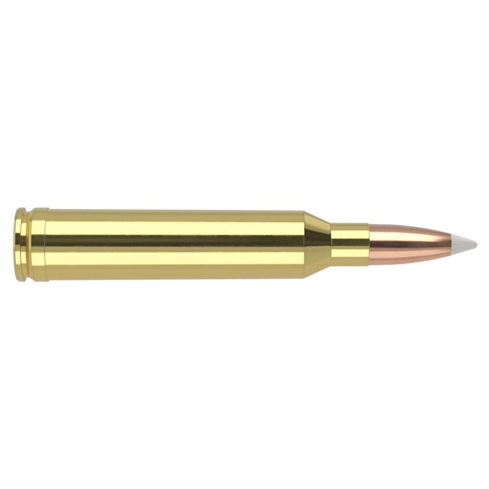 Nosler Trophy Grade Rifle Ammunition 7mm Rem Mag 160 gr AB 2925 fps 20/ct