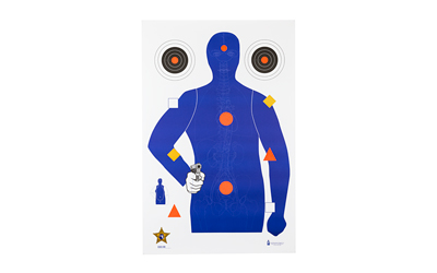 Action Target SSO-99, Sheriff's Office Sarasota Co. (FL) Modifies B21E Target With Vital Anatomy, Blue/Red/Gold/Black, 23"x35", 100 Per Box