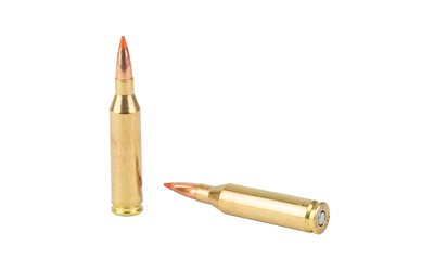 Federal Fusion, 243 Winchester, 95 Grain, Fusion Soft Point, 20 Round Box — photo 4