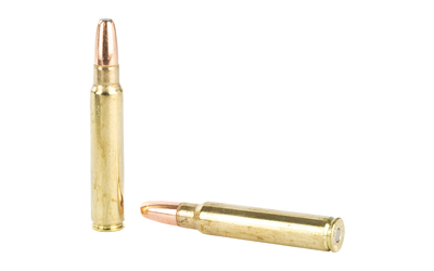 Hornady Dangerous Game, 375 Ruger, 300Gr, DGX Bonded, 20 Round Box — photo 4