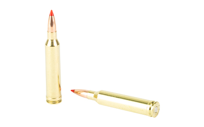 Nosler Ballistic Tip, 7MM Remington Magnum, 160 Grain, Spitzer Ballistic Tip Bullet, 20 Round Box — photo 4